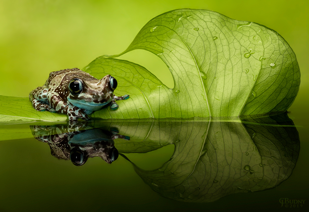 Poolside - ID: 15734207 © Chris Budny