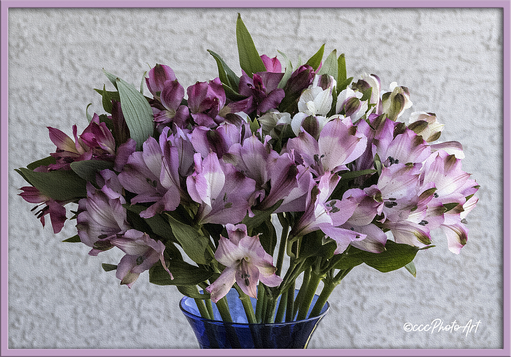 Bouquet in Blue - ID: 15734217 © Candice C. Calhoun