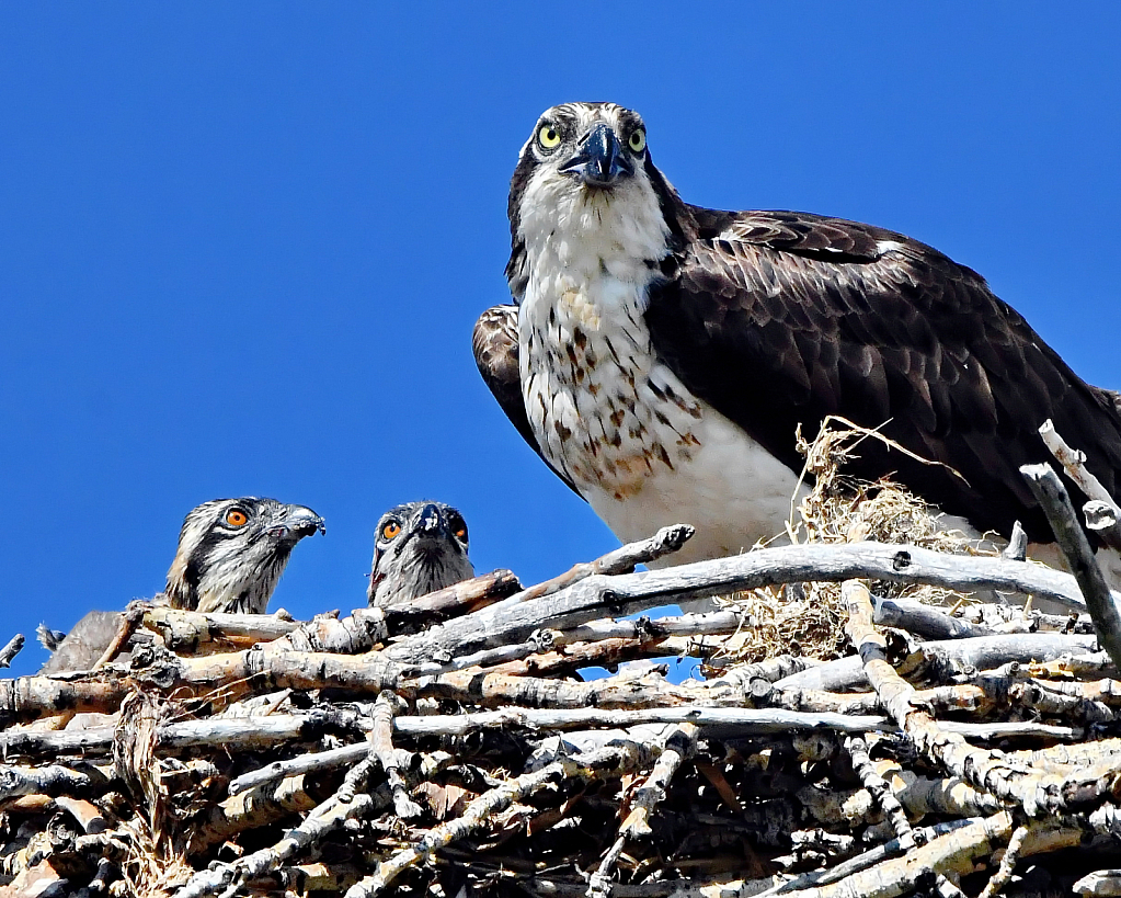 Mom and the kids