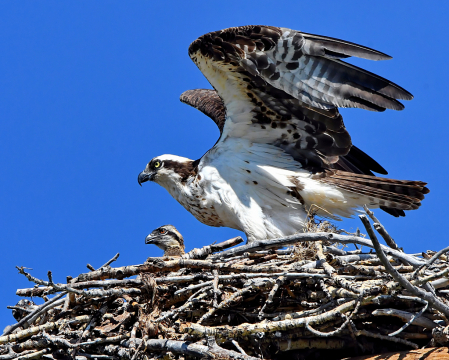 The Take-Off