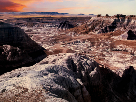 Another Look At the Petrified Forest