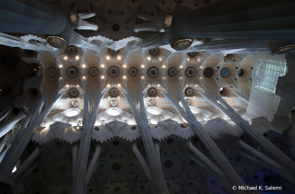 Sagrada Familia Ceiling - ID: 15735745 © Michael K. Salemi