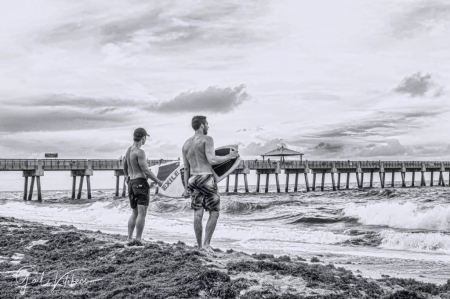 Wave Watchers