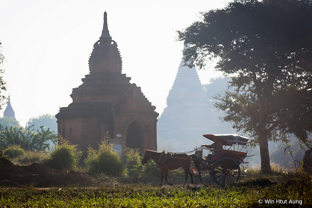 Horse cart at Bagan