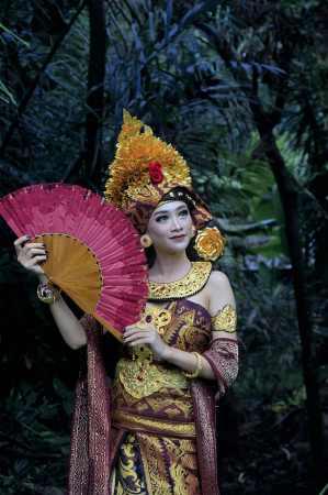 A traditional Dancer from Bali