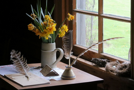 Daffodils by the Window
