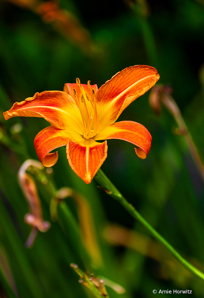 Orange and Green