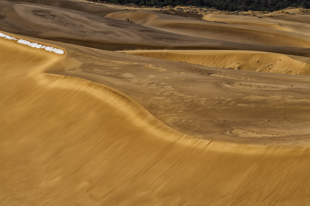 Sand Snow Light  2348