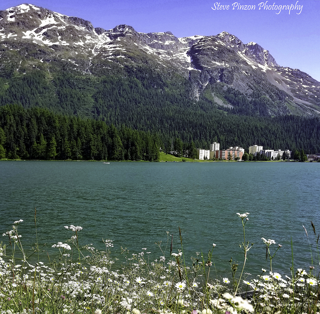 Summer at Lake Moritz, Switzerland - ID: 15737104 © Steve Pinzon