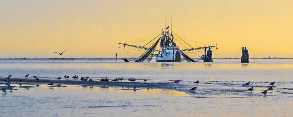 Shrimp Boat at Dawn