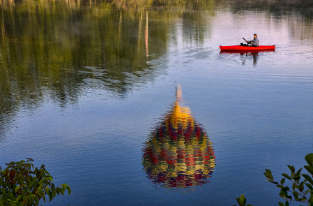 Balloon Reflection