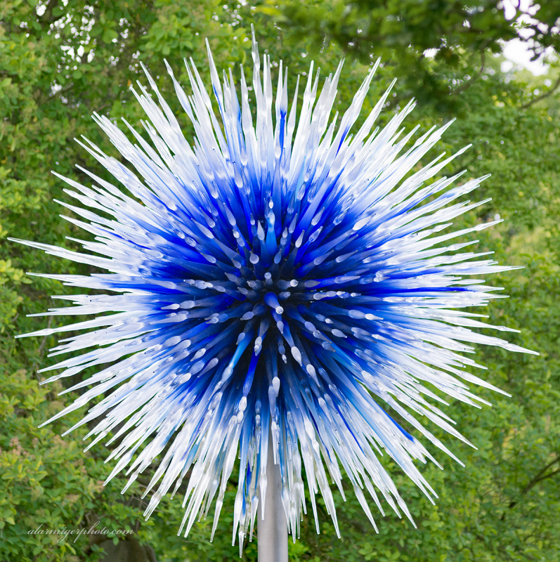 Dale Chihuly Exhibit Glass Sculpture
