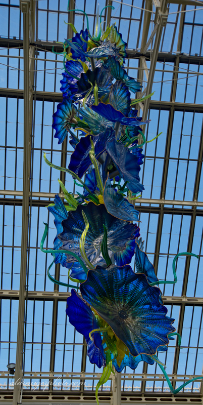 Suspended Glass Flower Dale Chihuly exhibit.