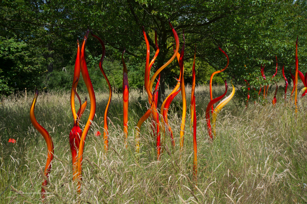 Glass Storks in the Grass Dale Chihuly