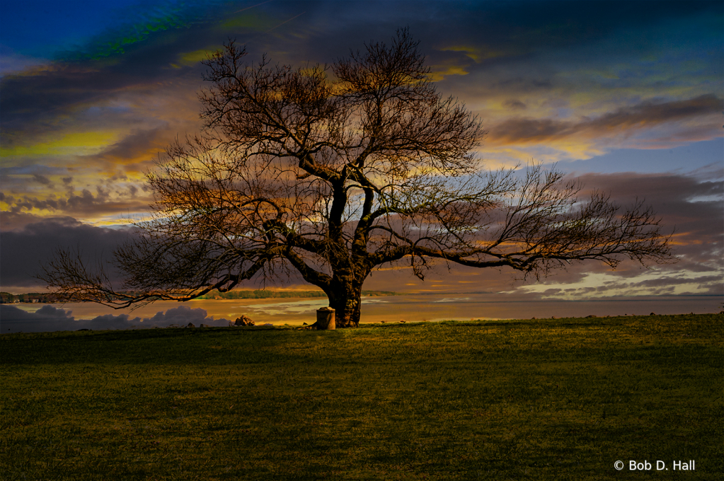 Against An angry Sky