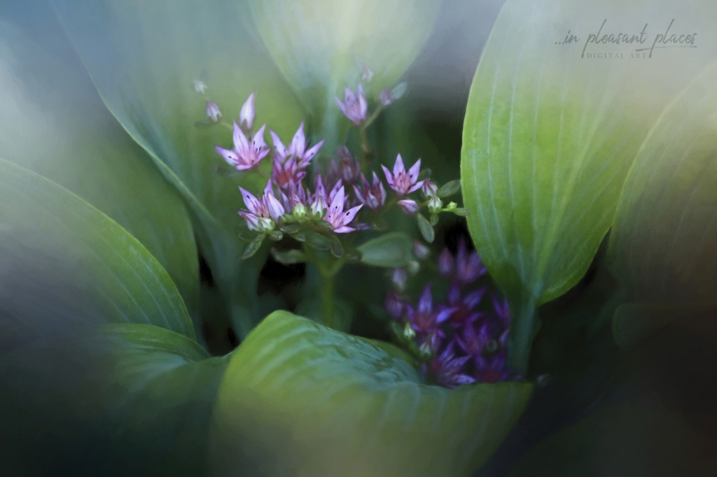 Smoke and Flowers