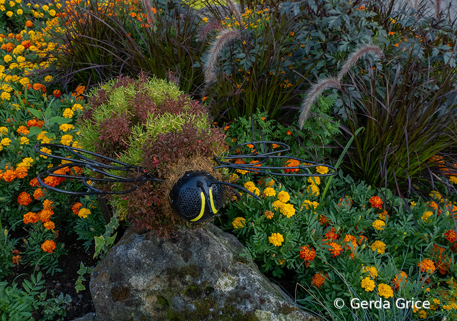 Horticulral Art in High Park, Toronto