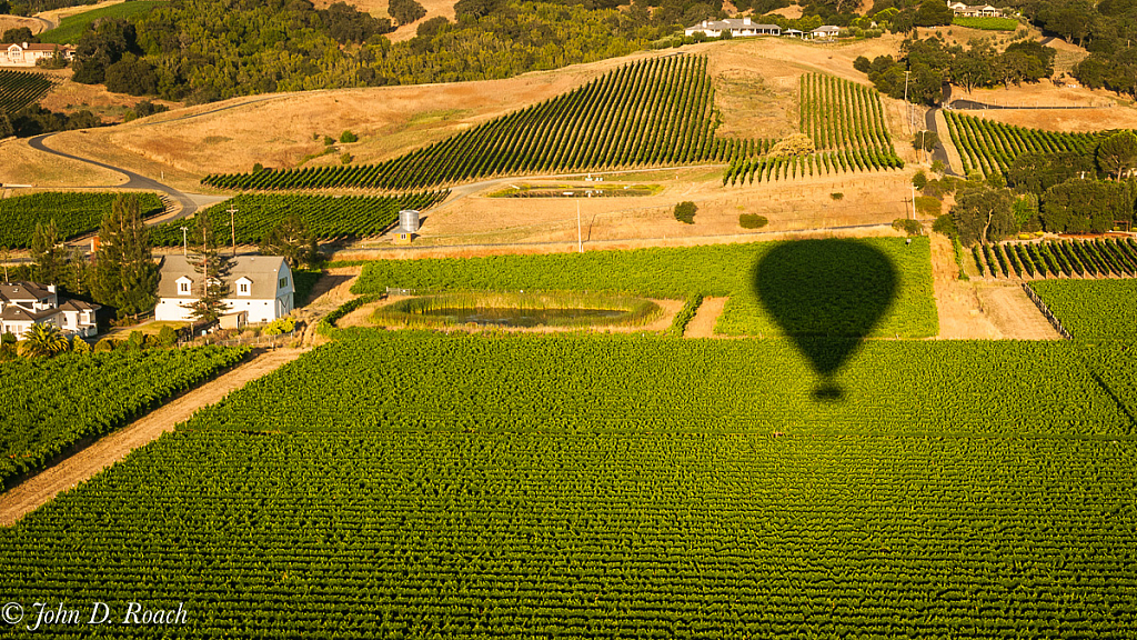 Over the Vineyard