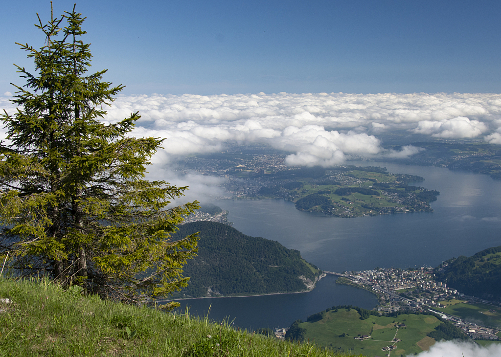 Lake Lucerne from a mountaintop - ID: 15739038 © Steve Pinzon