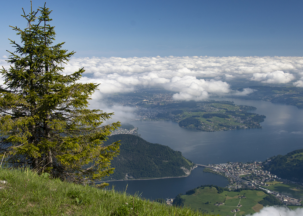 Lake Lucerne from a mountaintop