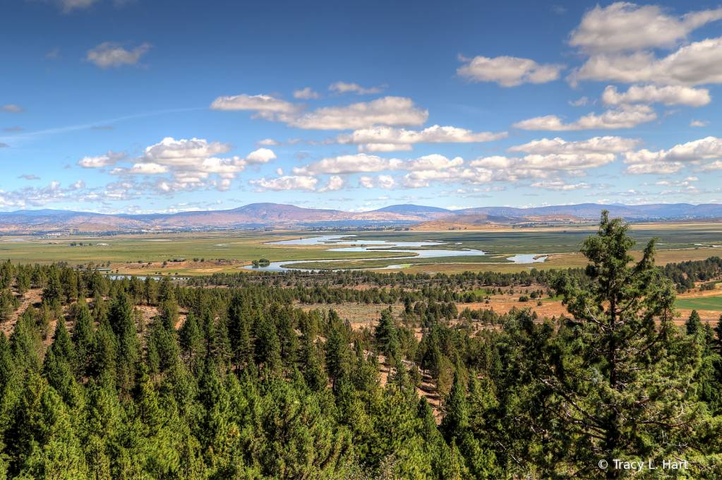 Klamath Basin