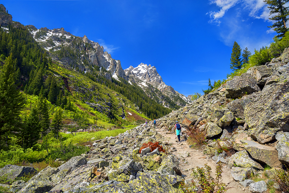 Rocky Trail