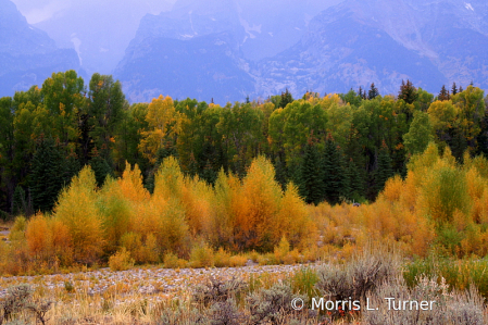 Grand Teton