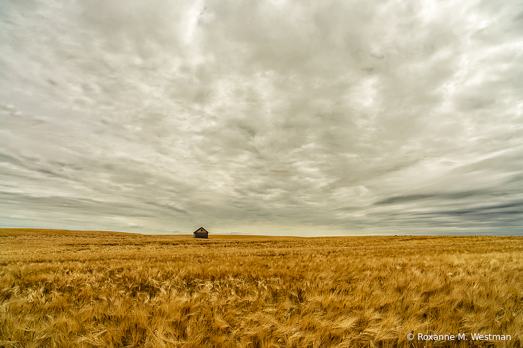 Piece of history in North Dakota wheat field - ID: 15739935 © Roxanne M. Westman