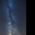 © Roxanne M. Westman PhotoID# 15739936: Milky Way and cottonwood tree
