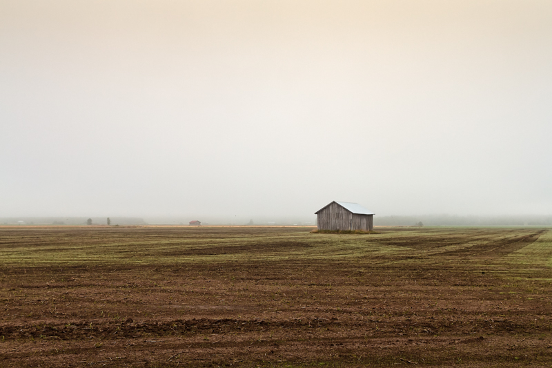 Mist Over The Empty Fields