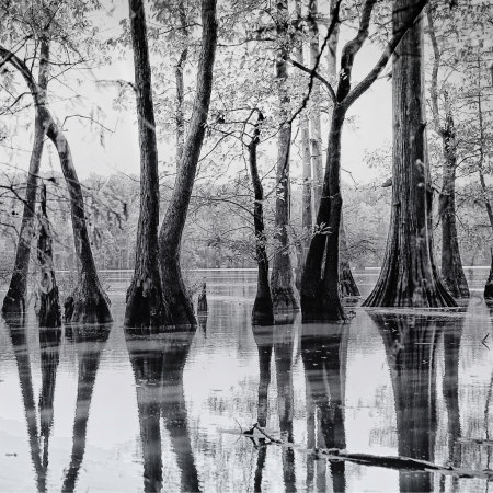 Cypress Mirror 