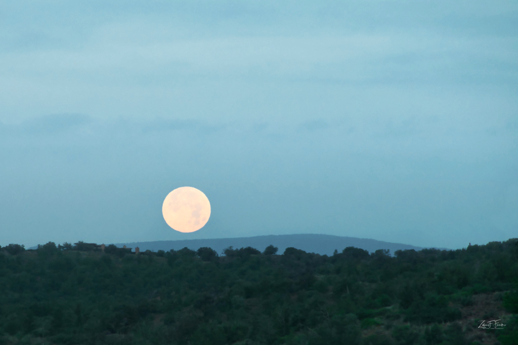 Setting Full Moon in Sedona - ID: 15740524 © Zelia F. Frick