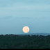 2Setting Full Moon in Sedona - ID: 15740524 © Zelia F. Frick