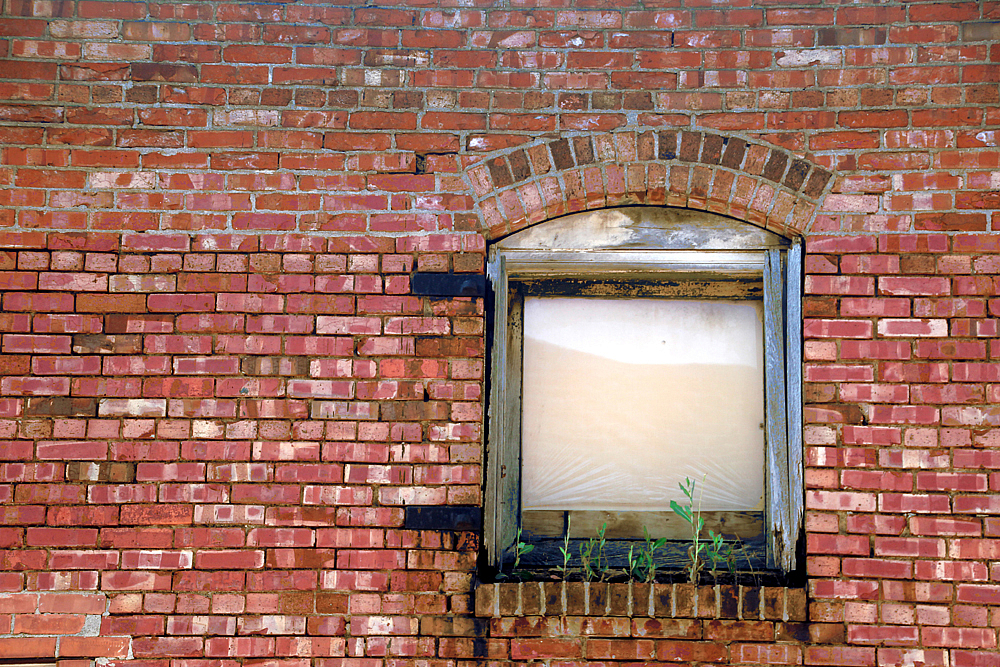 Window Box