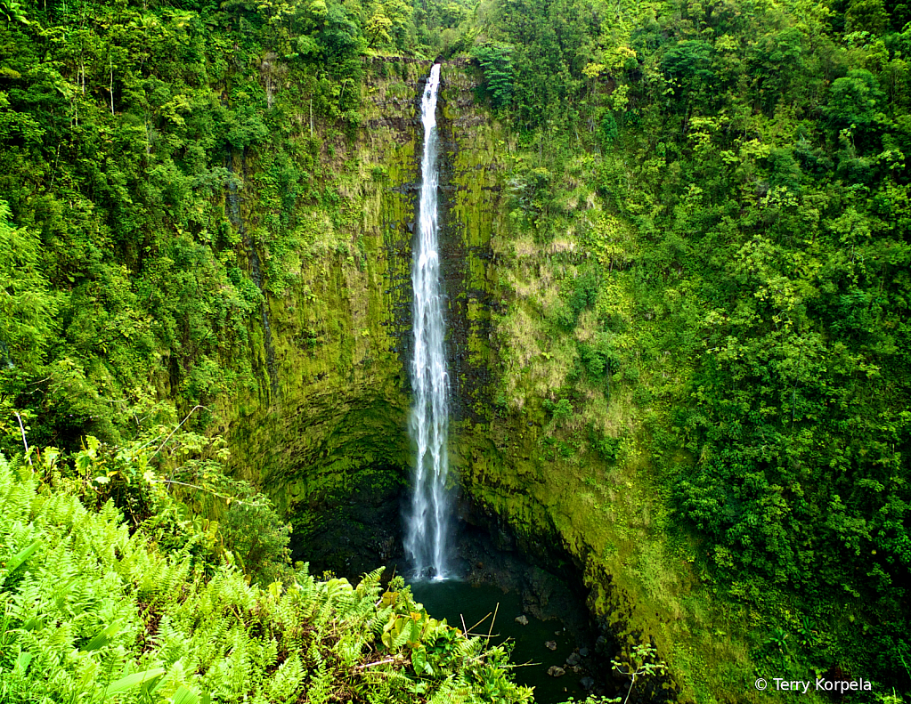 Kauai Waterfall - ID: 15741407 © Terry Korpela
