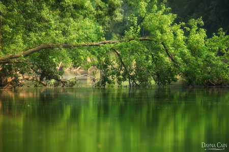 River Greens