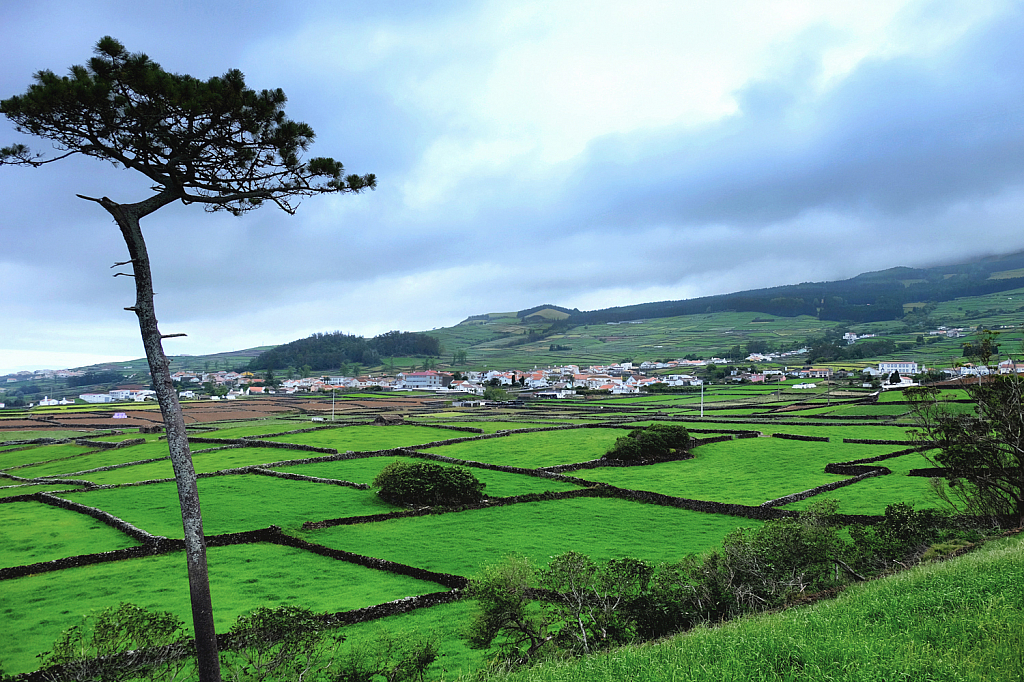 Patchwork of Green Fields
