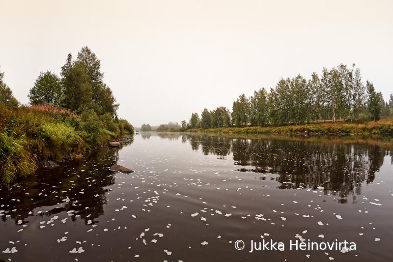 Foggy Morning On The River