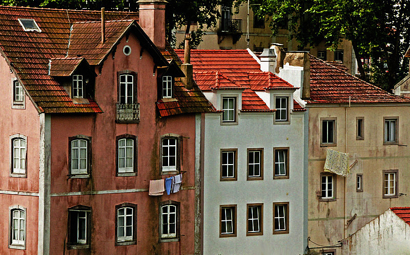 Row House Windows