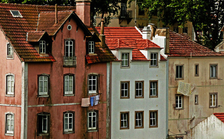 Row House Windows