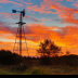 © Ravi S. Hirekatur PhotoID # 15742798: Sunrise on a Farm