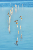September 2019 Photo Contest 2nd Place Prize Winner