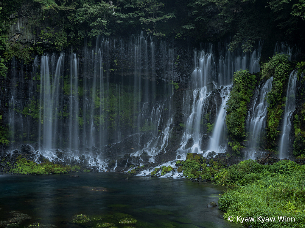 Water & Green