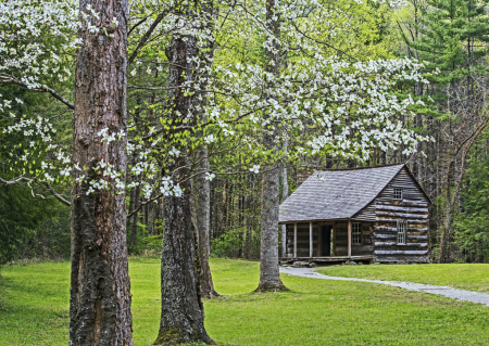 Dogwood Cabin  