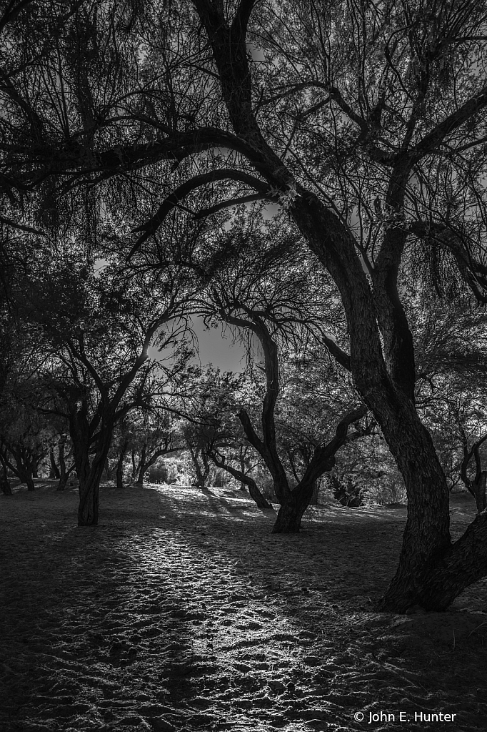 Evening Stroll - ID: 15743658 © John E. Hunter