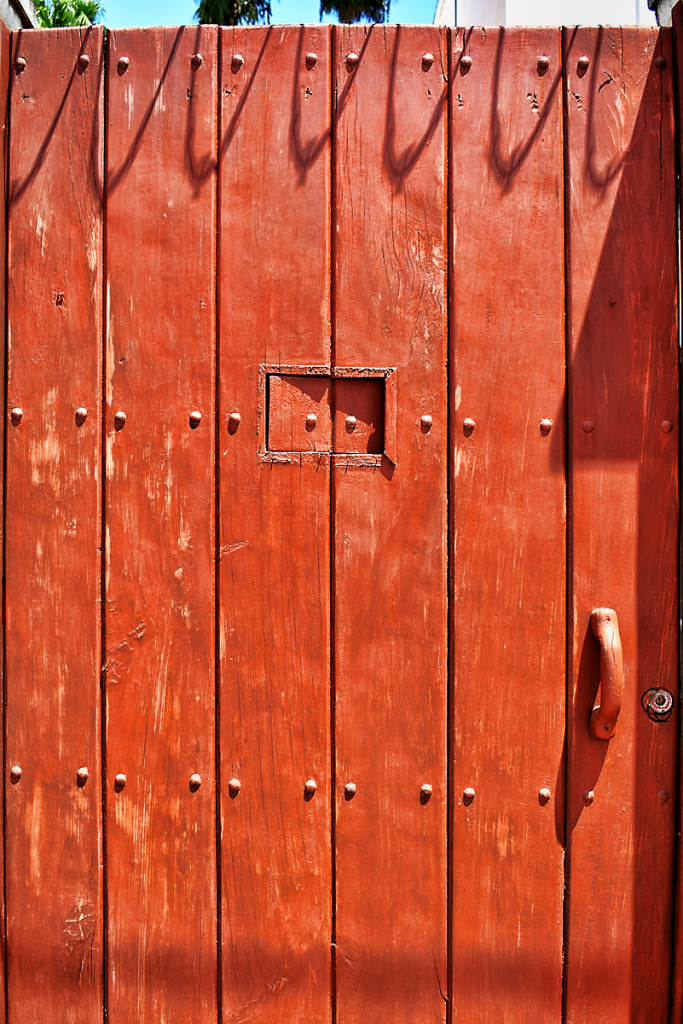 RUSTIC DOOR