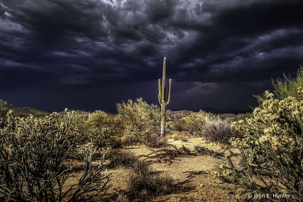 Desert Thunder - ID: 15744499 © John E. Hunter