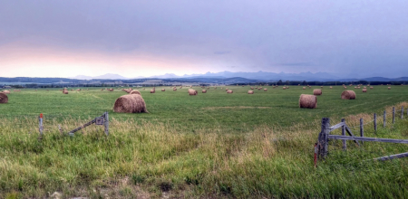 Hay Bales