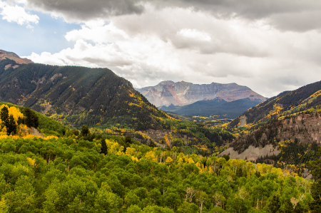 Colorado Green