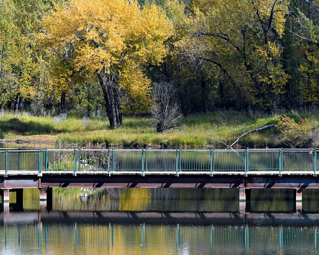 Fall Colors